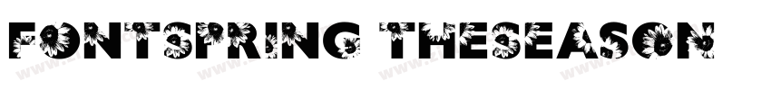 FONTSPRING TheSeason字体转换